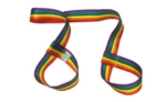 Derby Laces Pride Skate Leash - Image 9